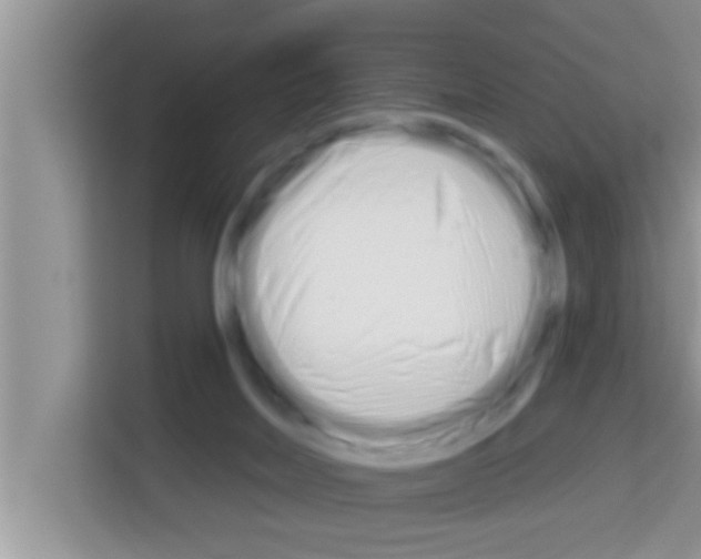 X0000113120026200910091146