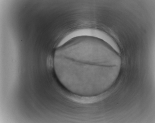 X0000113120027200910091146
