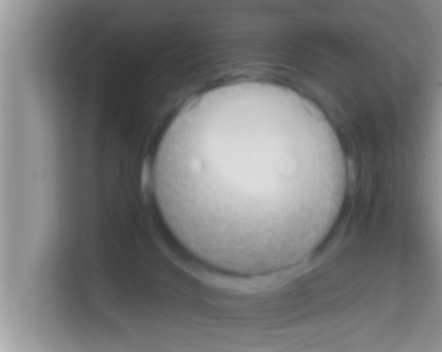 X0000113120028200910091146