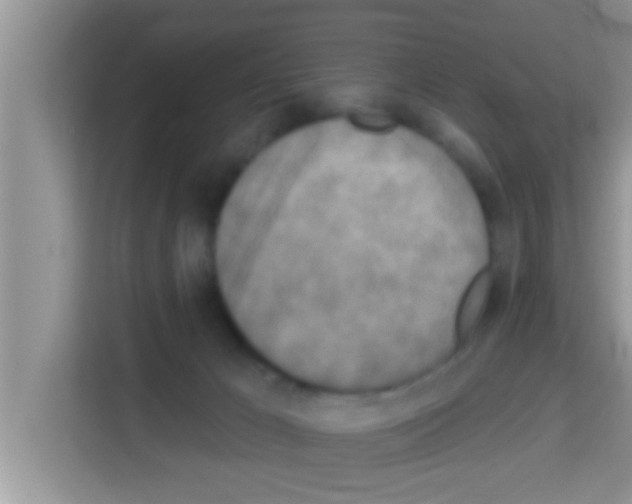 X0000113120029200910091146
