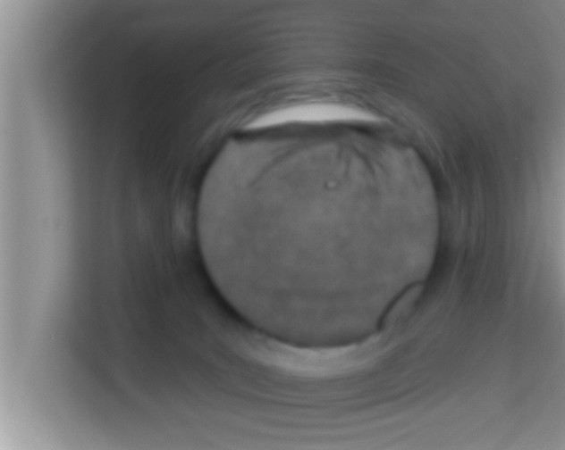 X0000113120035200910091146