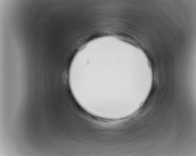 X0000113120036200910091146