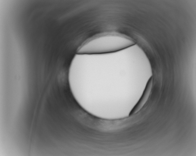 X0000113120037200910091146