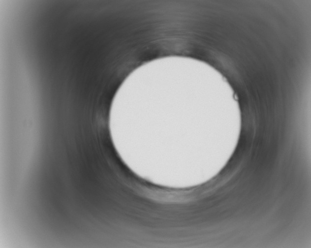 X0000113120040200910091146
