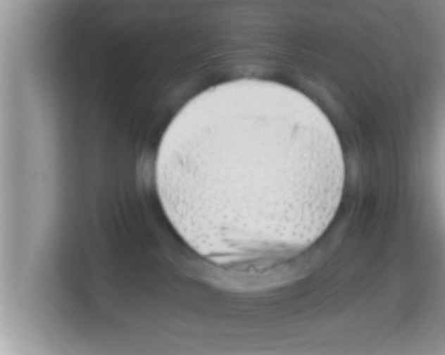 X0000113120042200910091146