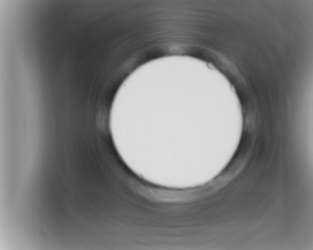 X0000113120044200910091145
