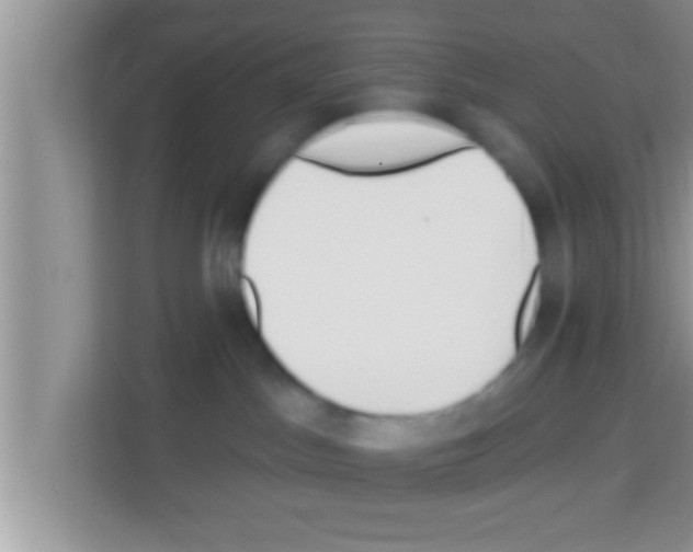 X0000113120045200910091145