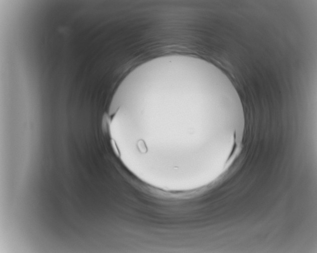 X0000113120047200910091145