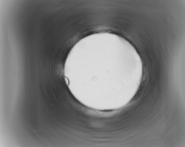 X0000113120048200910091145