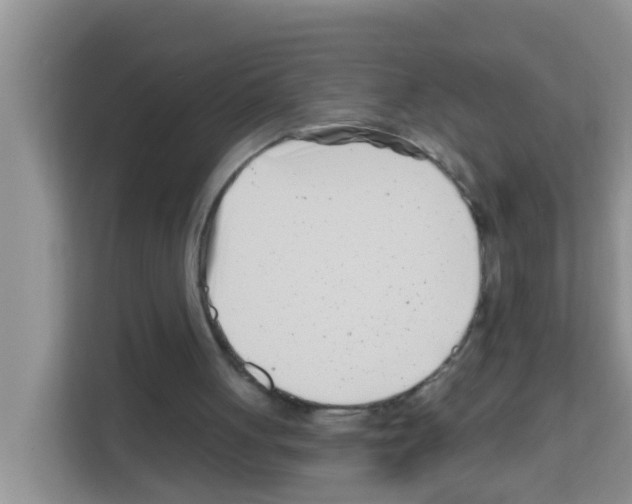 X0000113120051200910091145
