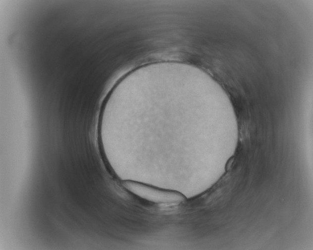 X0000113120052200910091145