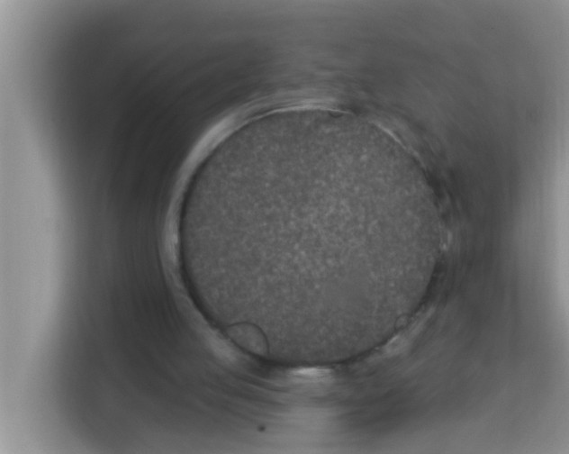 X0000113120053200910091145