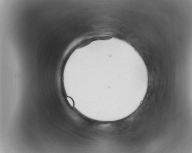 X0000113120054200910091145