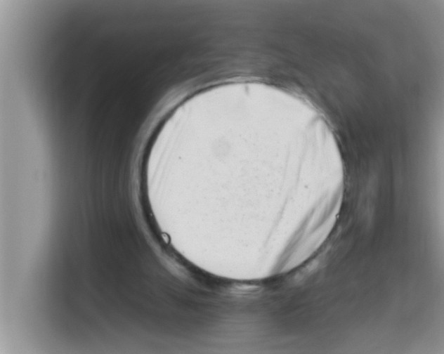 X0000113120055200910091145