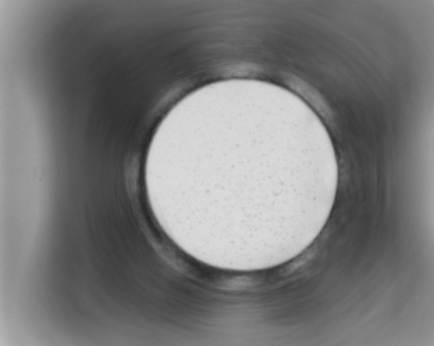 X0000113120058200910091145
