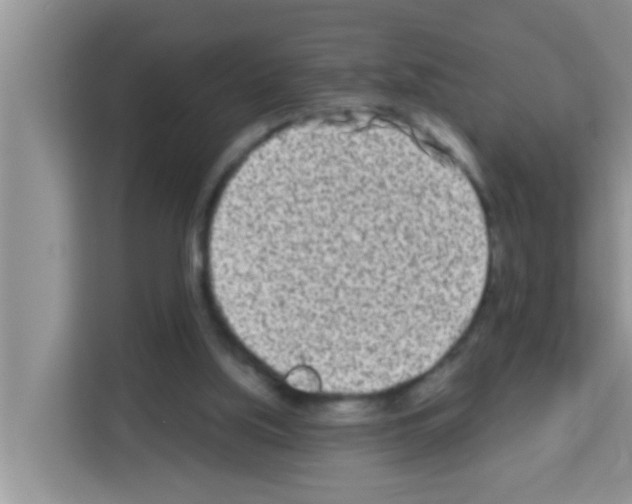 X0000113120059200910091145
