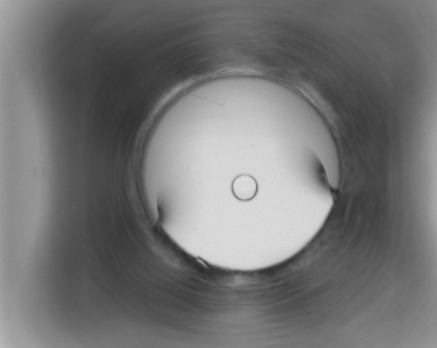 X0000113120060200910091145