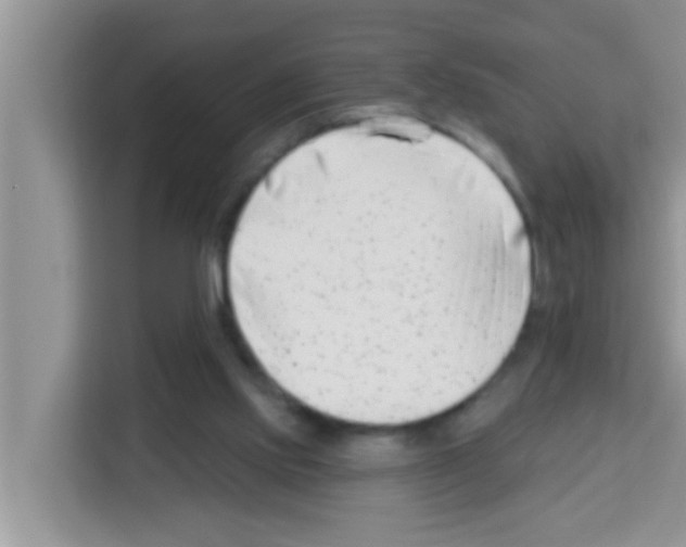 X0000113120061200910091145