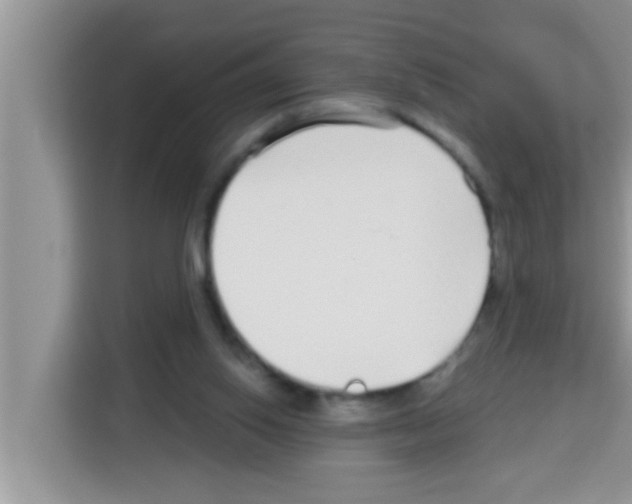X0000113120062200910091145