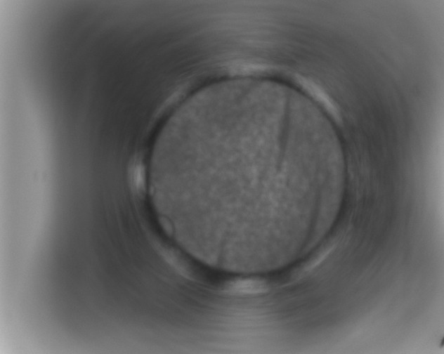 X0000113120067200910091145