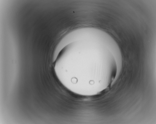 X0000113120068200910091145