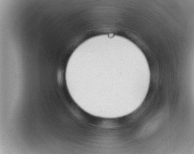 X0000113120070200910091145