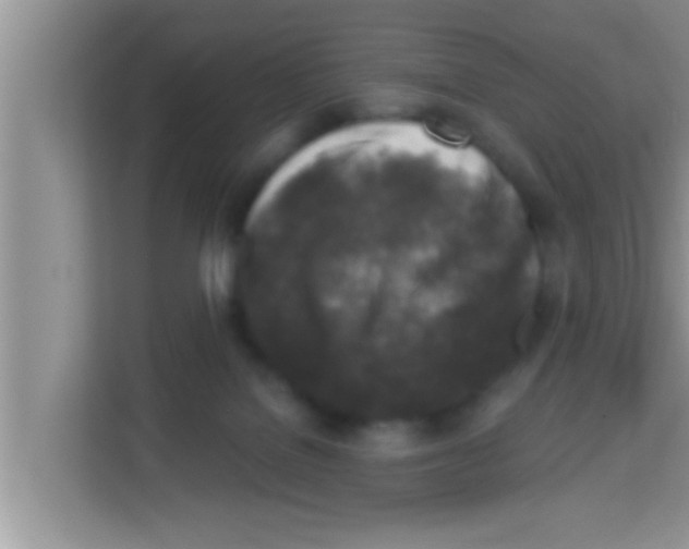 X0000113120076200910091145