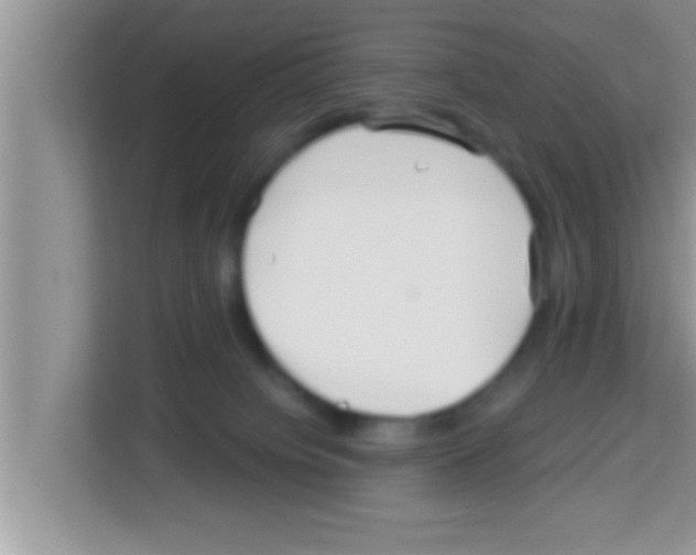 X0000113120084200910091145