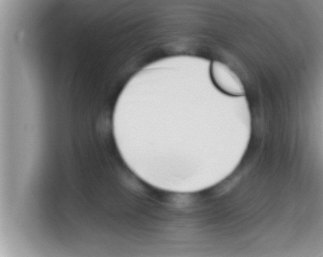 X0000113120085200910091145