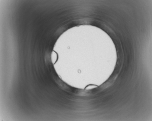 X0000113120096200910091145
