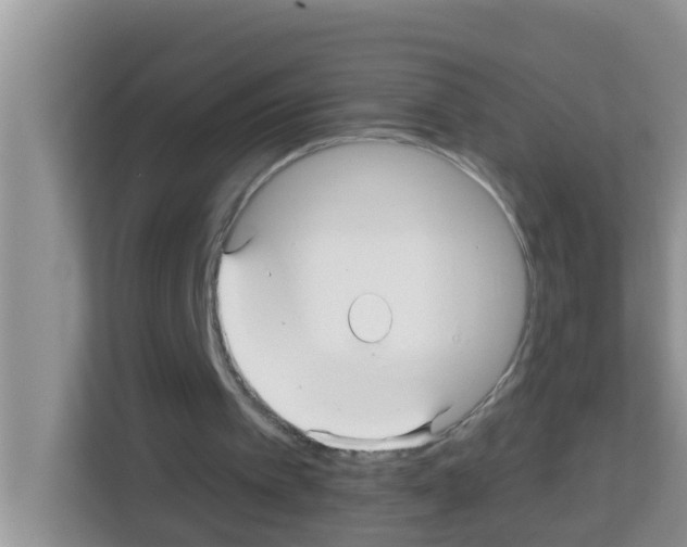 X0000113120097200910091145