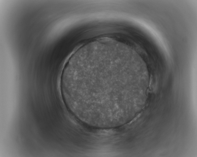 X0000113120099200910091145
