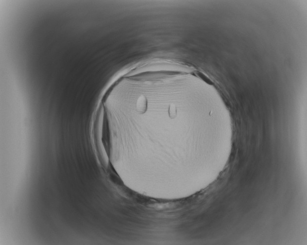 X0000113120100200910091145