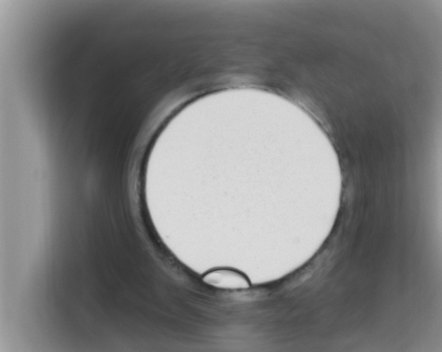 X0000113120103200910091145