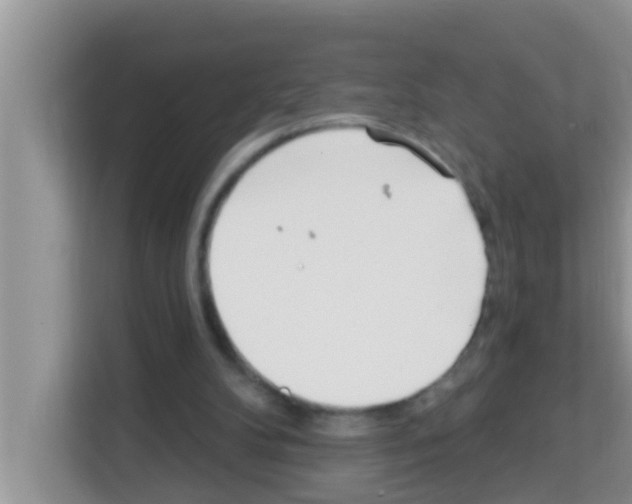 X0000113120104200910091145