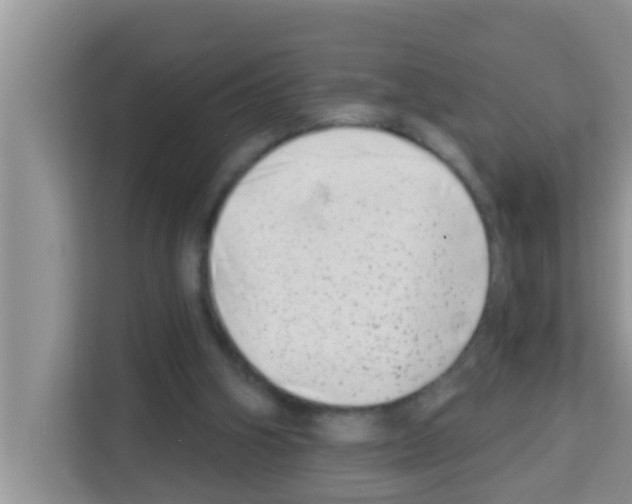 X0000113120106200910091145