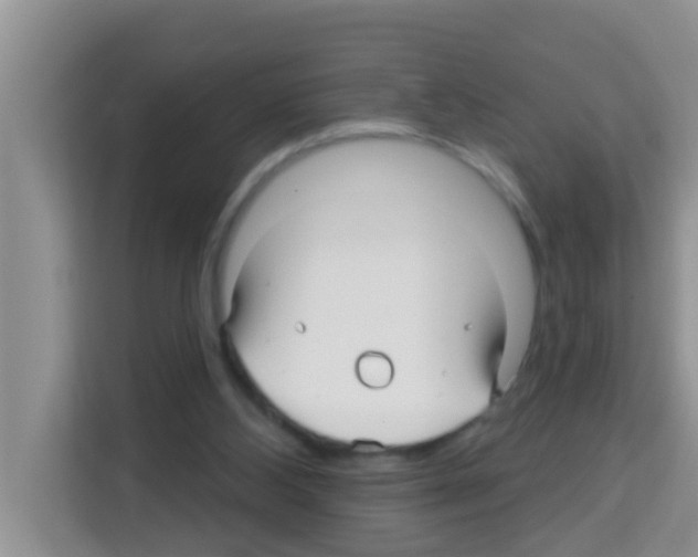 X0000113120108200910091145