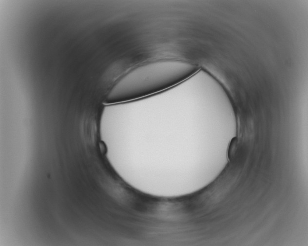 X0000113120109200910091145