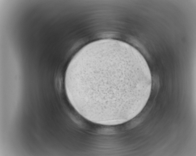 X0000113120110200910091145