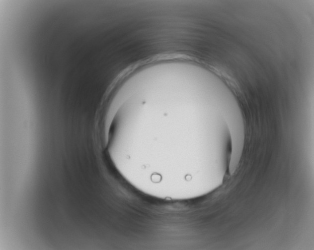 X0000113120112200910091145