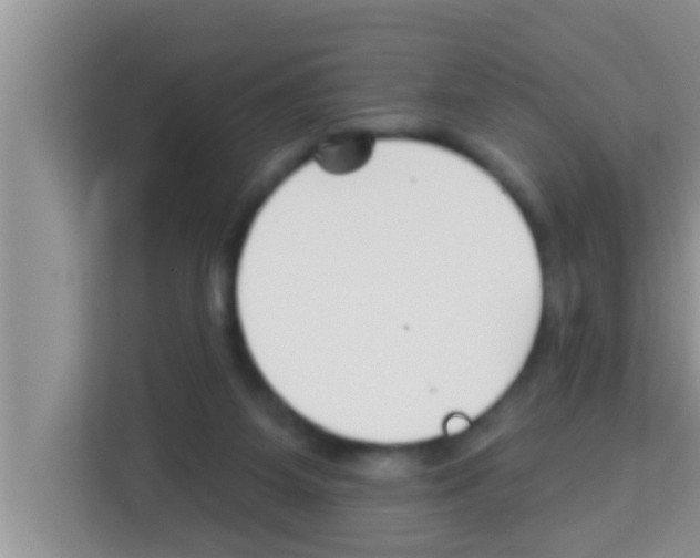 X0000113120115200910091145
