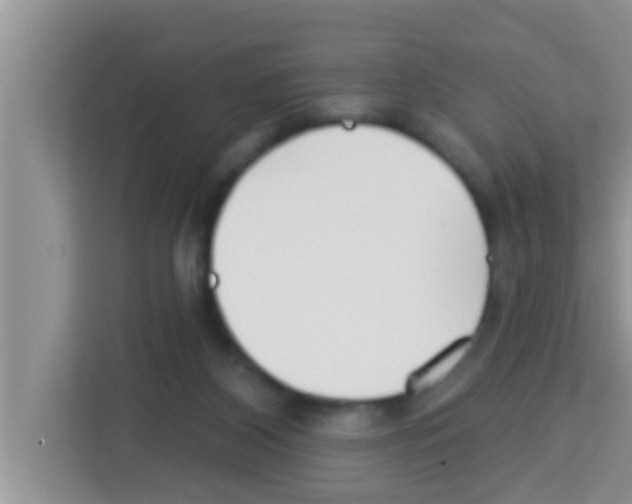 X0000113120116200910091145