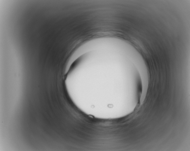 X0000113120120200910091145