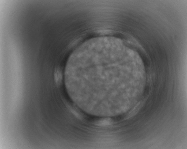 X0000113120124200910091144