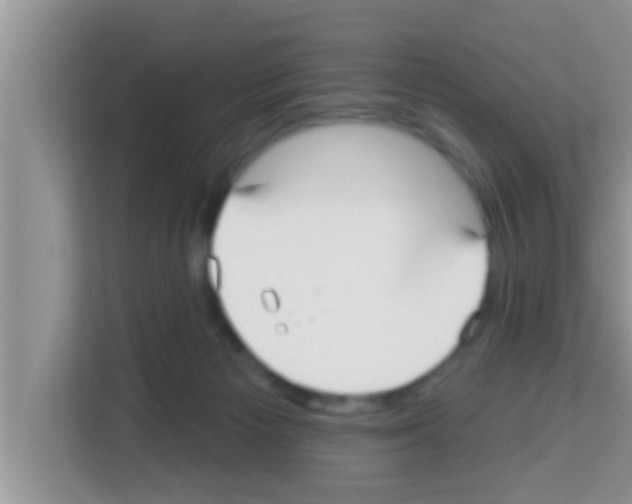 X0000113120125200910091144