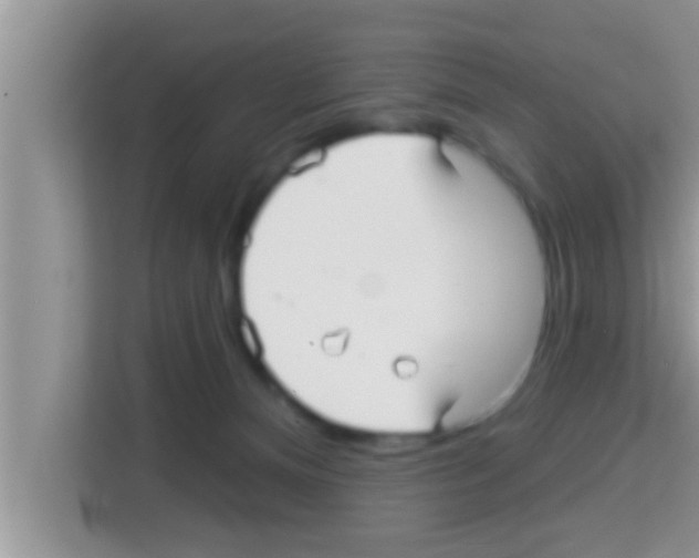 X0000113120128200910091144