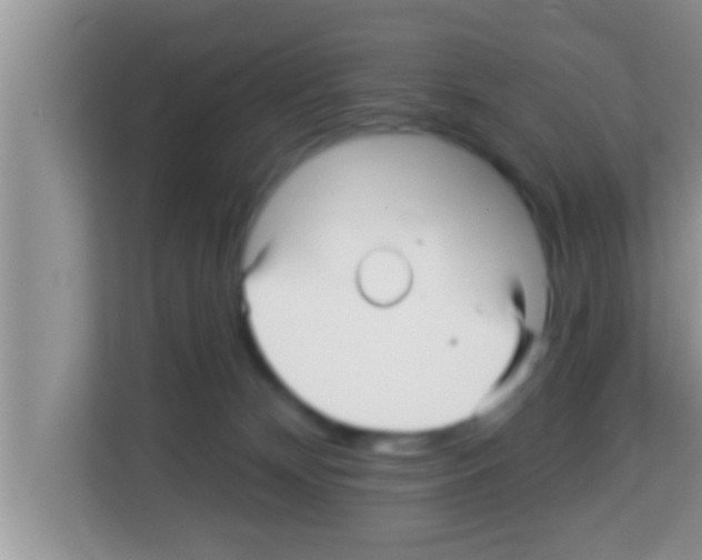 X0000113120132200910091144