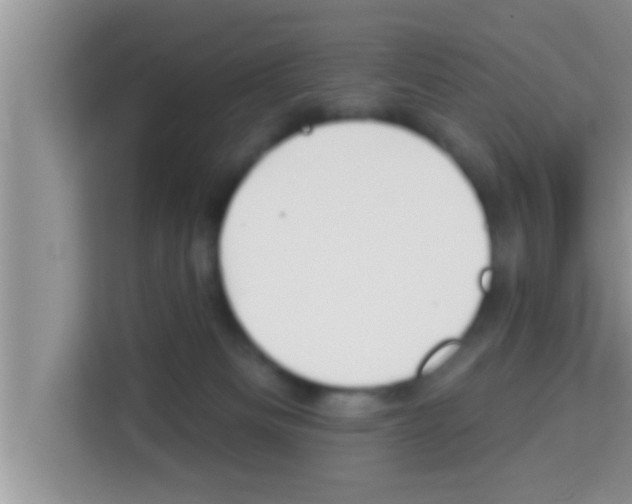 X0000113120133200910091144
