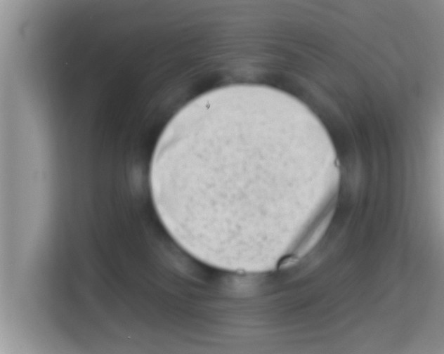 X0000113120134200910091144