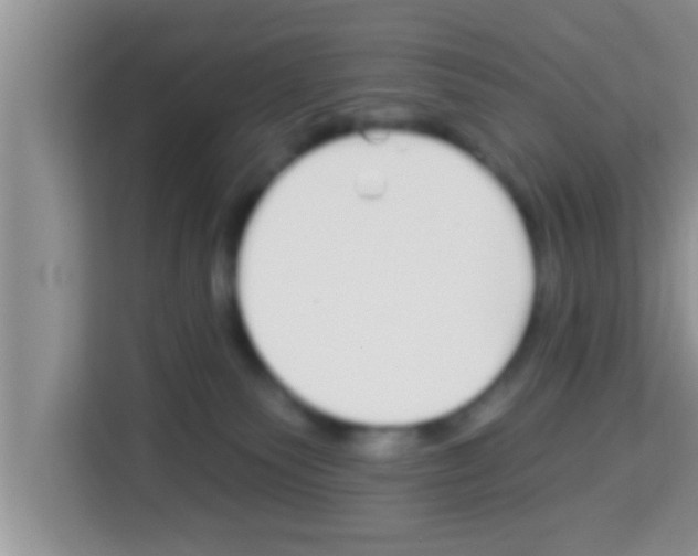 X0000113120135200910091144